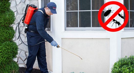 Aladağ Dezenfeksiyon böcek ilaçlama ve haşere kontrolü — ilaclama-tr.com